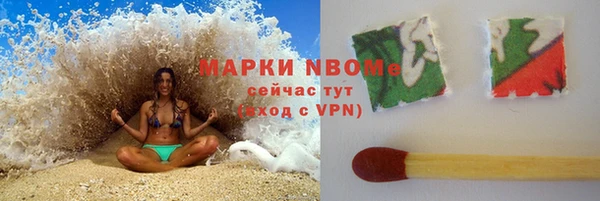 индика Абаза