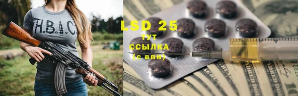 индика Абдулино