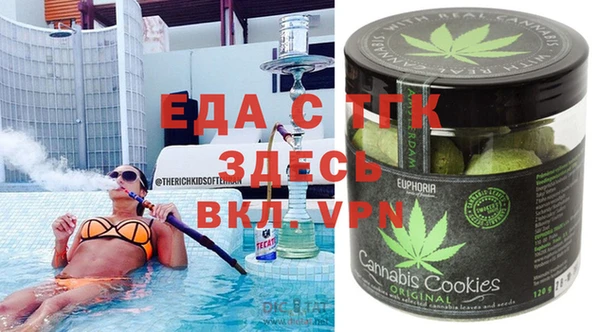 индика Абаза