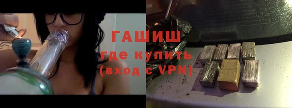 индика Абаза