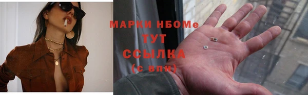 индика Абаза
