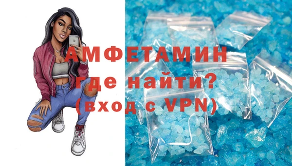 индика Абаза