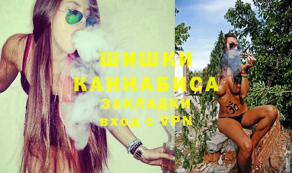 индика Абаза