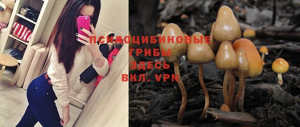 индика Абаза