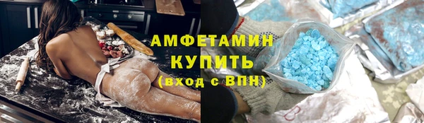 индика Абаза