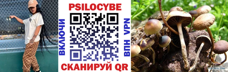купить наркотик  Липецк  Псилоцибиновые грибы Psilocybine cubensis 